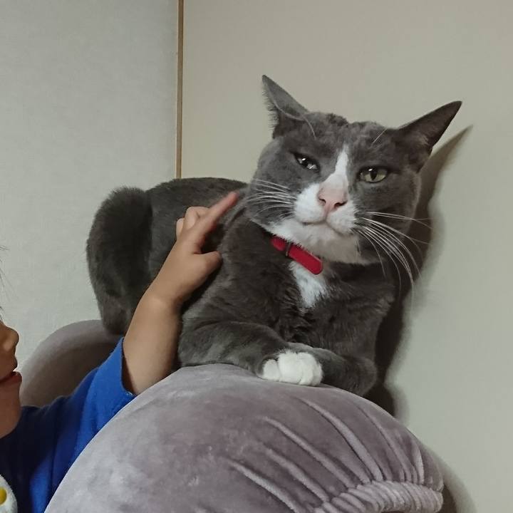 19842cc9 bae4 4266 97e5 291100b7501e 1509358936775