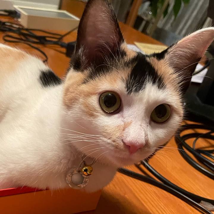 1984b2a5 f38b 4cb3 b0d3 bf2537fabb61 1670505799196