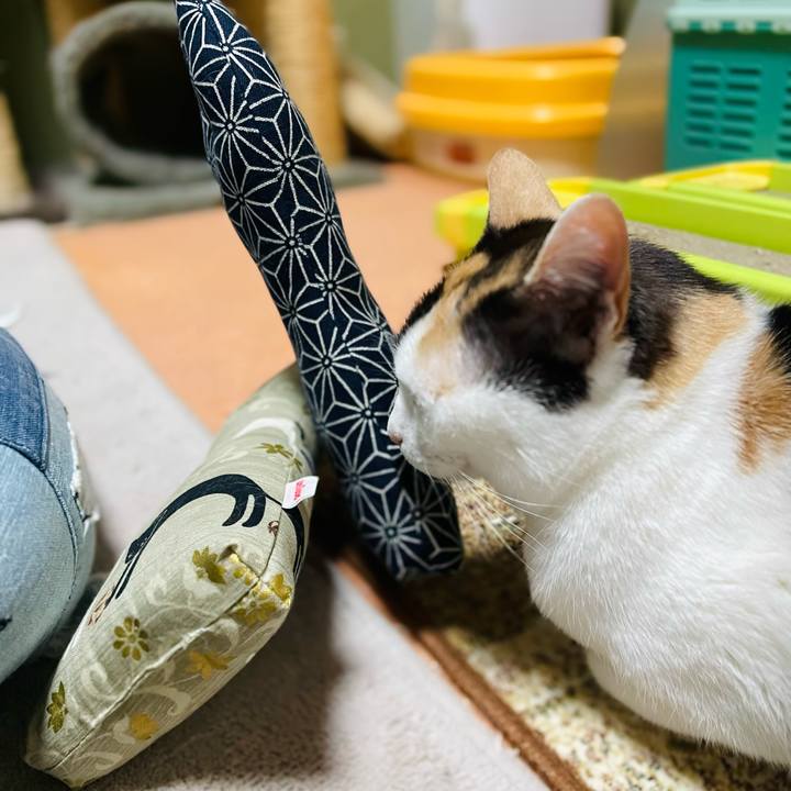 1984bbc8 39da 4fe5 aeed 6a459eb64d1d 1647139358411