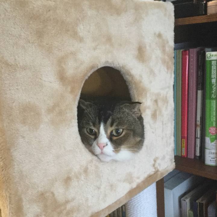 1984d110 ccfc 4b00 b125 a07097668d0d 1556322642880