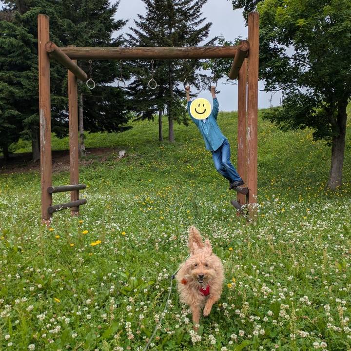 1984f3c8 7a13 4d7e abc1 fcb7b7c8a3ac 1719819480340