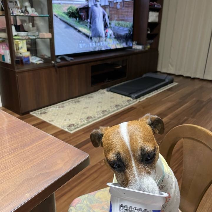 19851f0c 0e78 442f 8883 c9da77063c15 1717670218195