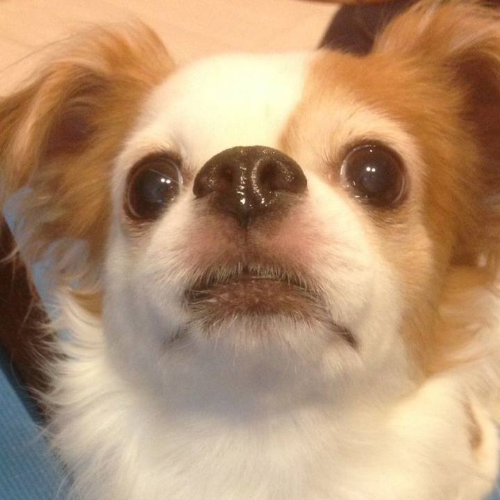 1985382a dffd 43b7 8a65 719f841d018e 1518740727031