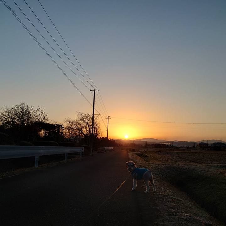 19854f49 336a 4a37 8926 a17555d9732e 1764455051962