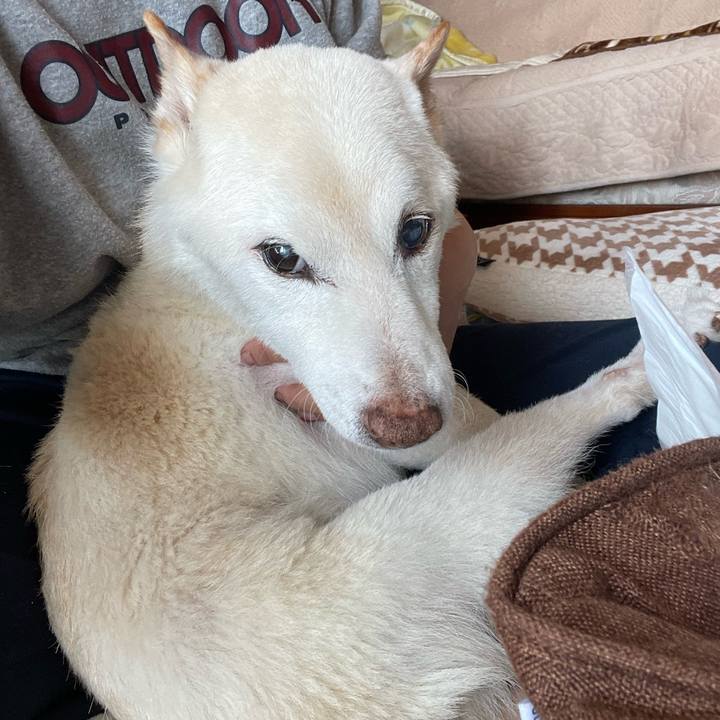 1985a485 1ac0 403c 9951 105210a4cf69 1678161791936