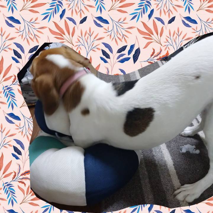 1985d253 dbe3 49f8 bf72 3629b4ffe673 1601277945586