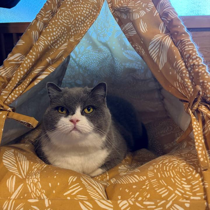 1985d85d b918 4279 b754 146c0ccb27f4 1763867365642