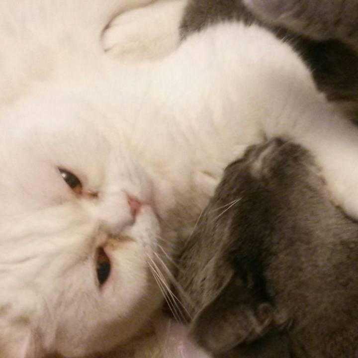 198609d2 46e4 4350 b1bd 533bd83ce4f8 1587696239579