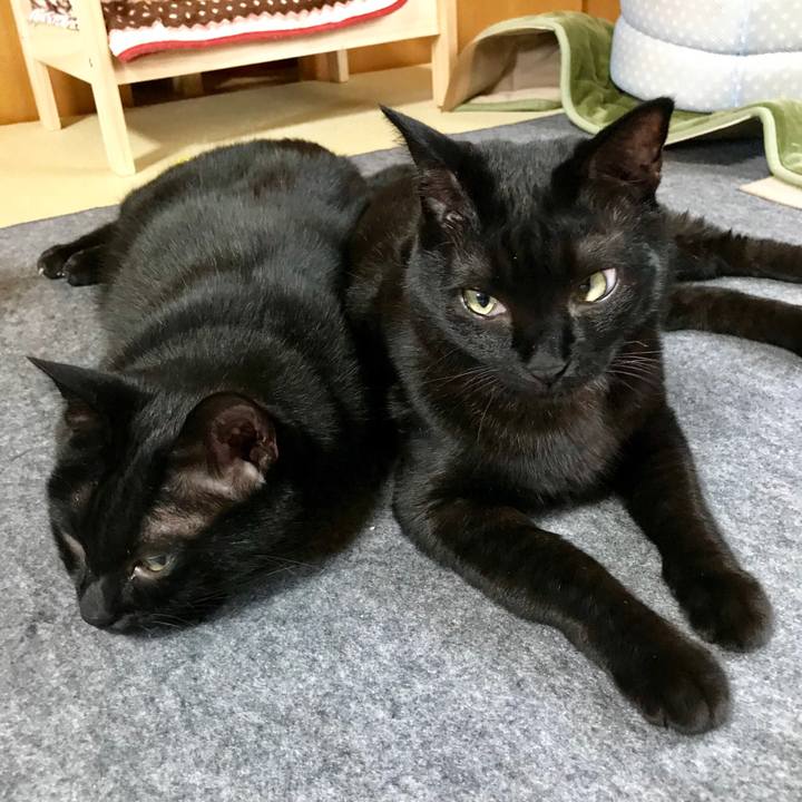 1986522a 4d90 4287 b45c 8b13ae5ebffd 1524961482155