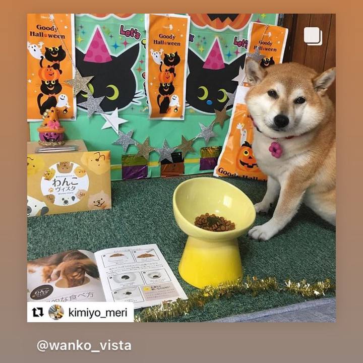 19869166 36b9 4c01 a3a0 38651c845429 1633510566687