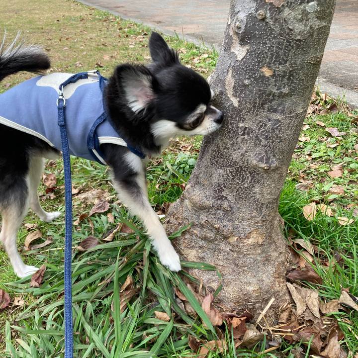 1986968b d842 487c 8e67 80d3e30475c4 1670161182823