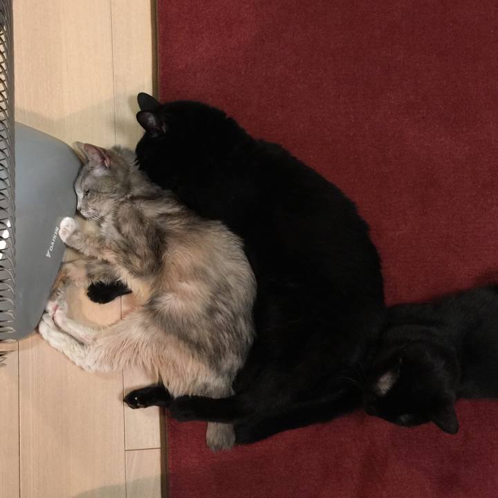 1986c5a6 e0c4 4fff bf1f cd05d0427187 1517828312250