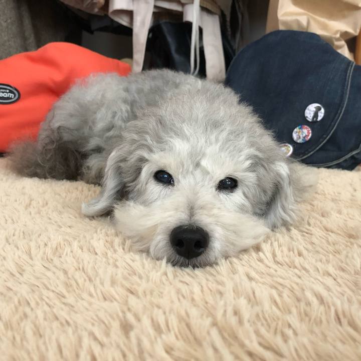 1986ec96 56bf 48c6 9ebf da24e2b0c296 1546561365805