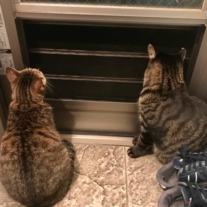 198746c9 ee3a 4710 b6f2 07aff1be67a3 1574990275434