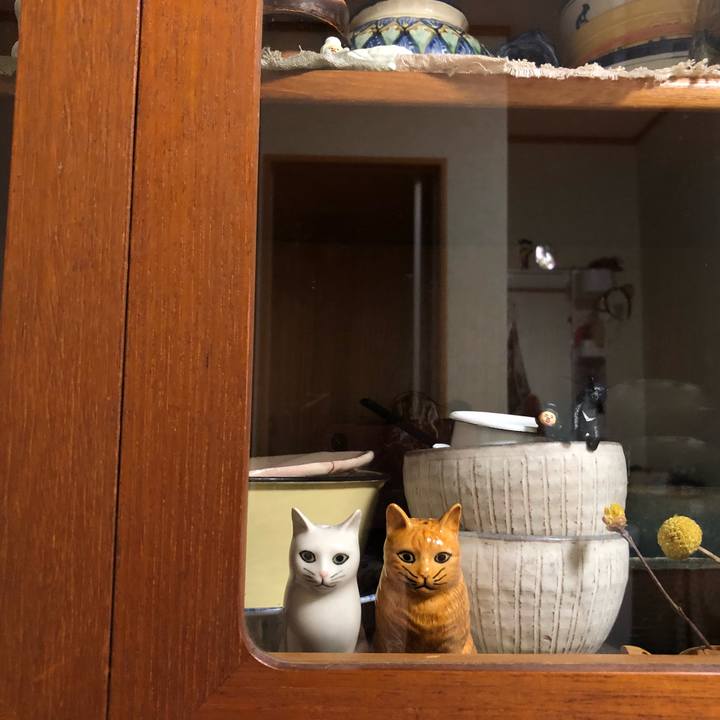 19874876 2381 45d5 89bc e5f5487a8b8e 1530637329241