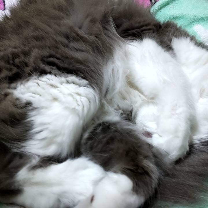 1987904a 699c 465b 90d3 d28d08a777d1 1731671285351