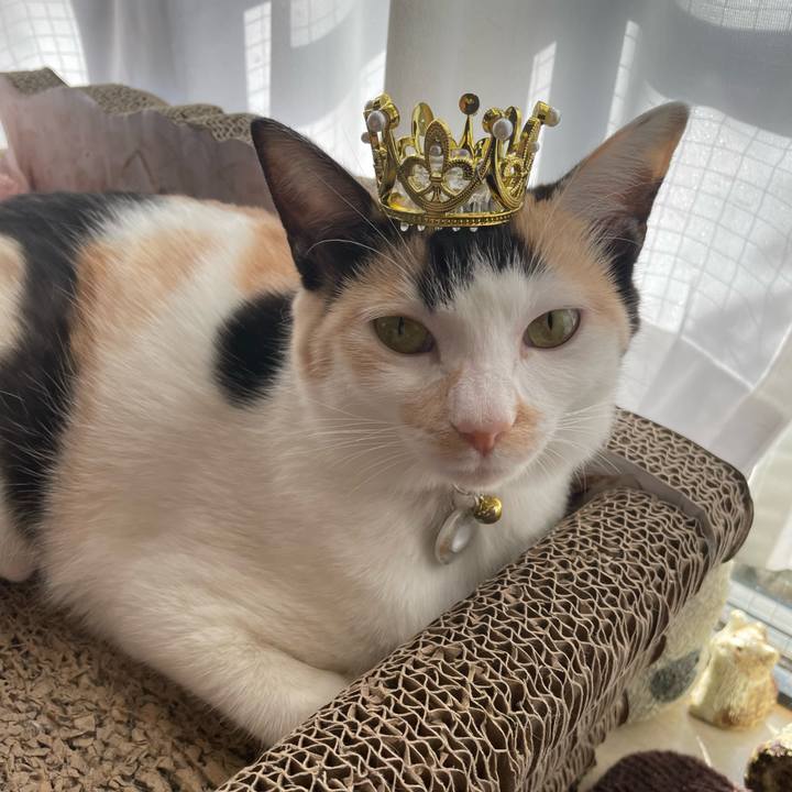 19879bc1 0e83 4822 ac89 89c3687594fb 1681339978581