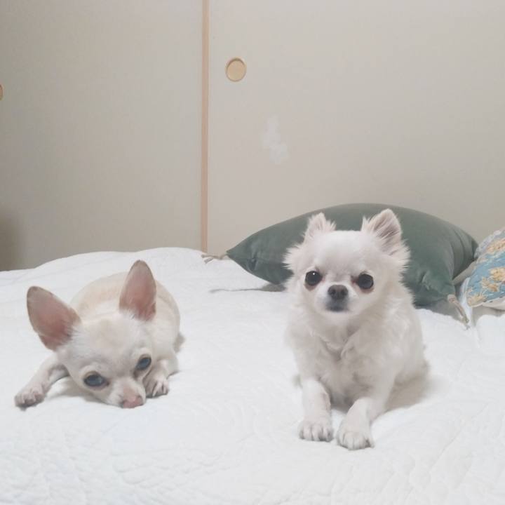 1987a283 2c0a 4423 896c 0479ffd15fc5 1775215324071