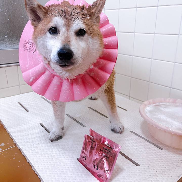 1987e4c3 4377 434a 9858 4aa257ade7ae 1710315309817