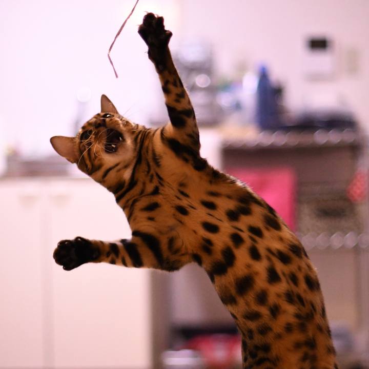 1987f7ae 89c3 41f1 8fc4 f1f0776f1ce2 1510460340460