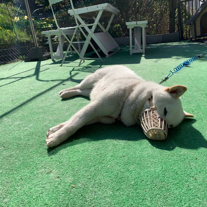 198837c1 04e1 43ff ac8d 43f67e8ece60 1556866161402