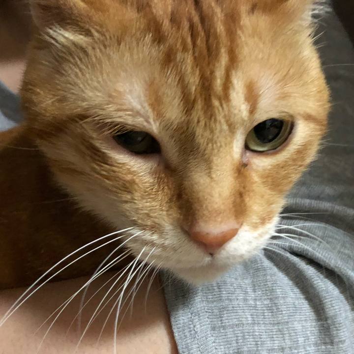 19884979 d037 410f bf18 0d53f2c03dec 1599644850775