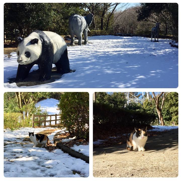 19884a02 4cc2 49d9 b6b7 ccce52cc5b3b 1516956706075