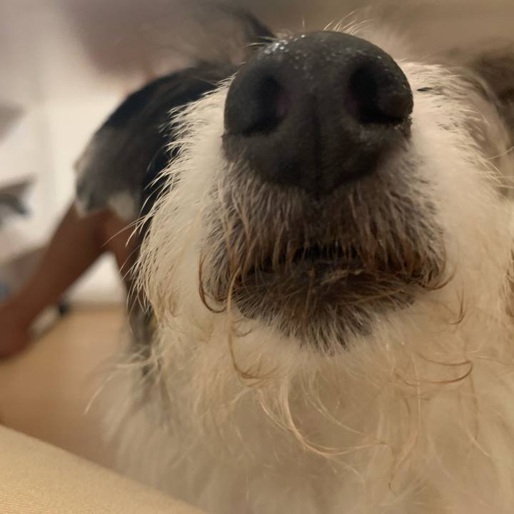 1988806a 85ae 4922 9da8 311b3e619d32 1687350426000