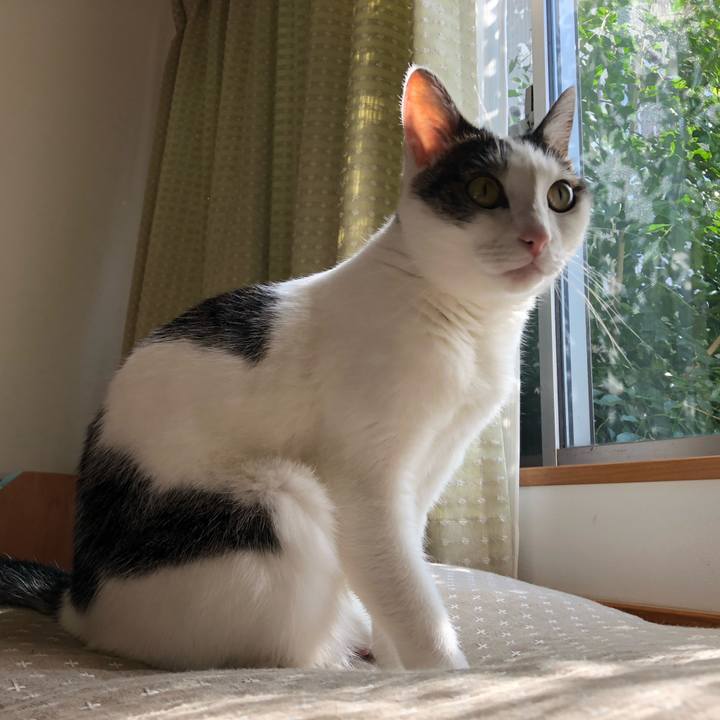 198890d8 e377 41a4 b6ac 2ee00a557634 1697594581186