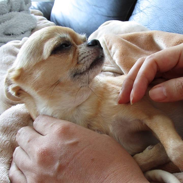 19889bee 26f8 4536 8dda 917cce7977e2 1508833970971