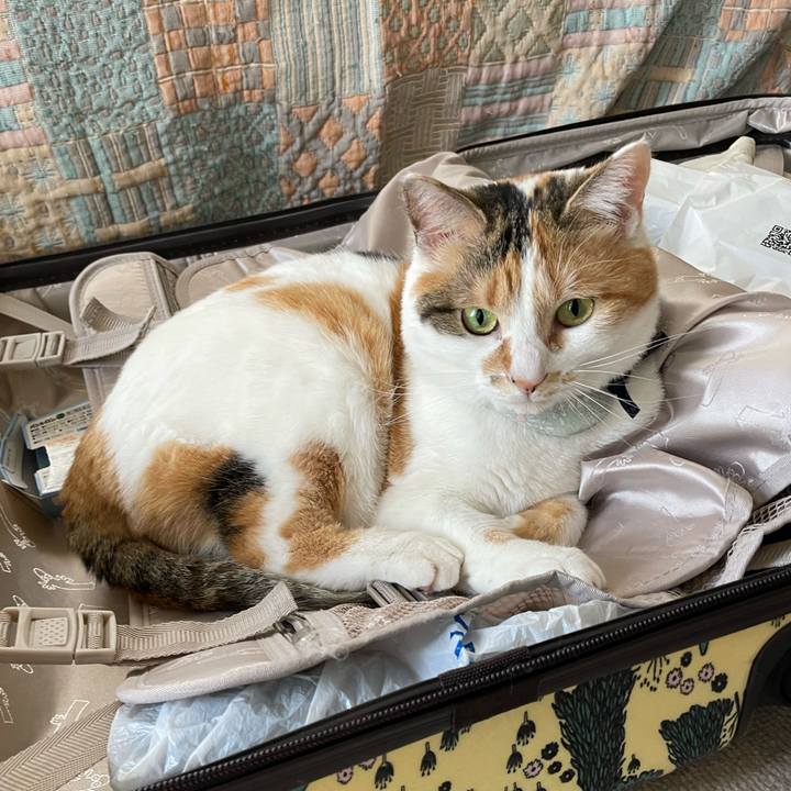 1988ac38 6881 475b aec7 f9a5409f2b2b 1681169447433