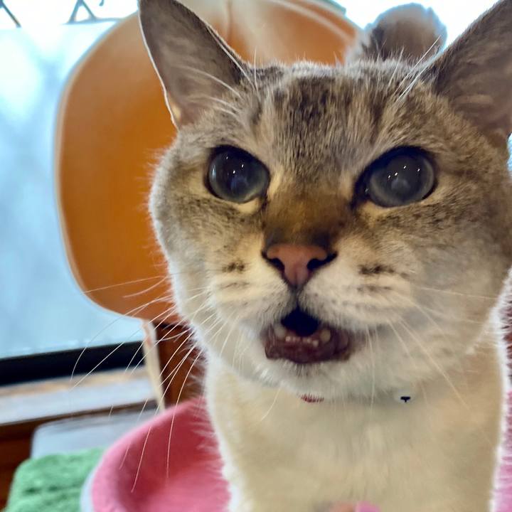 1988ad66 4690 41b6 801e 746dab7834a1 1590485928791