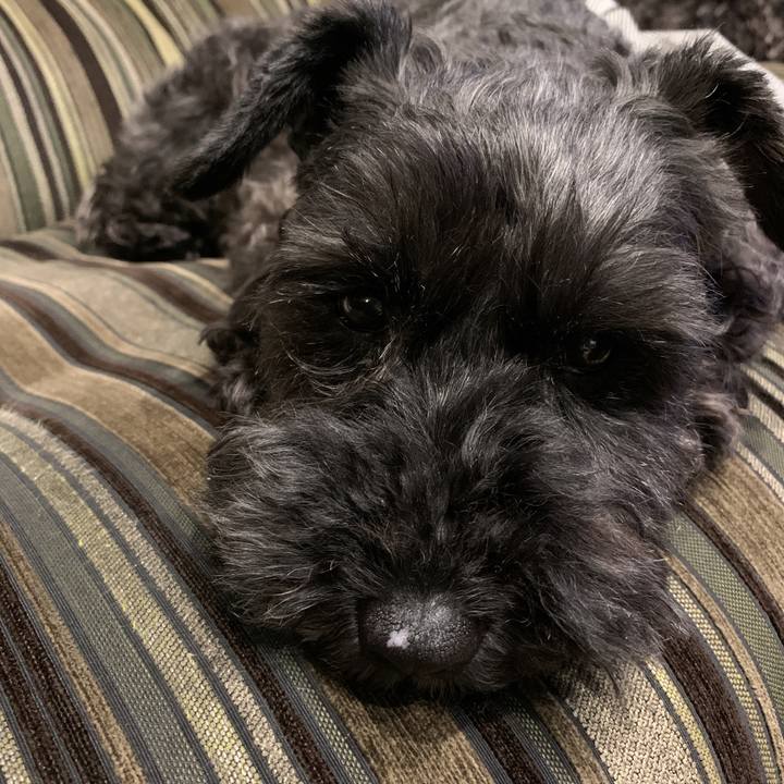 1988f945 2e17 4908 b8a0 38087d2b0ef6 1593938264387