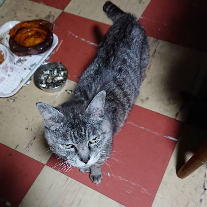 198903eb f8e1 47bd b41d 16df1e39aee2 1567455908830