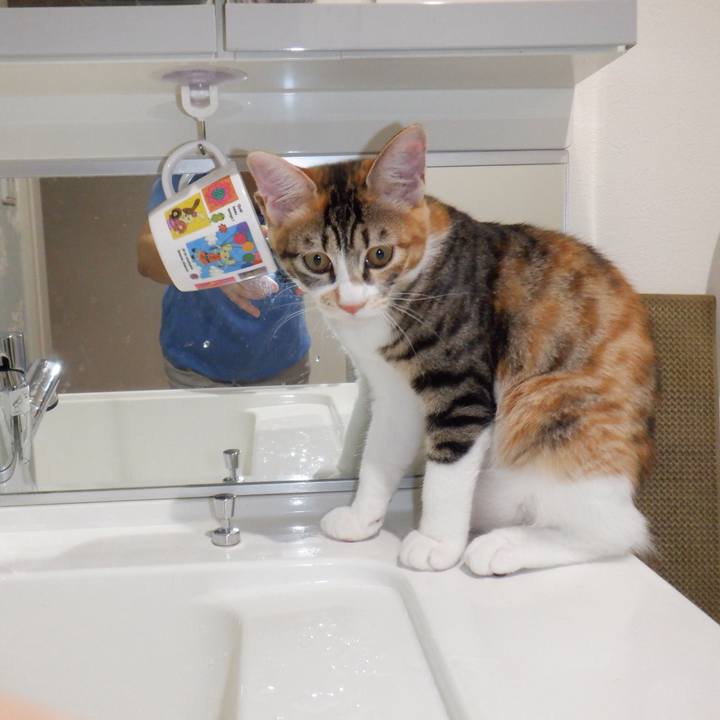 19891c92 96ba 435e 8012 9cf3bd2a01bf 1632278997074