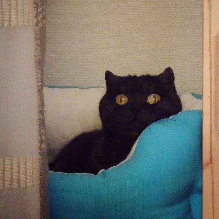 19894700 13d7 47b6 af58 c8c268f7819f 1588843887986