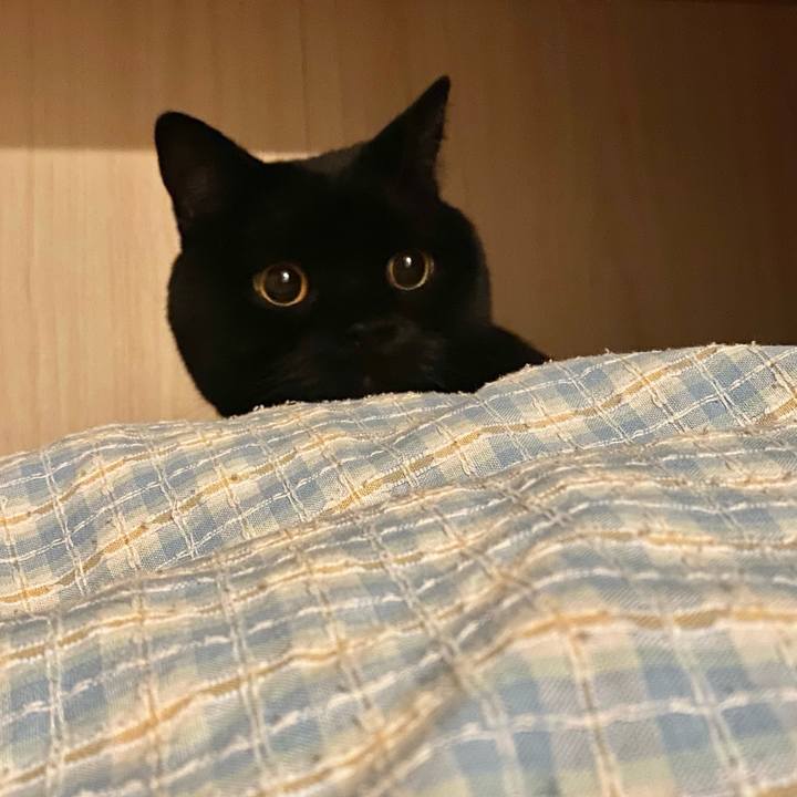 19894cdc 9382 4e44 9a4d 9ffc8f85c9a9 1677159902562