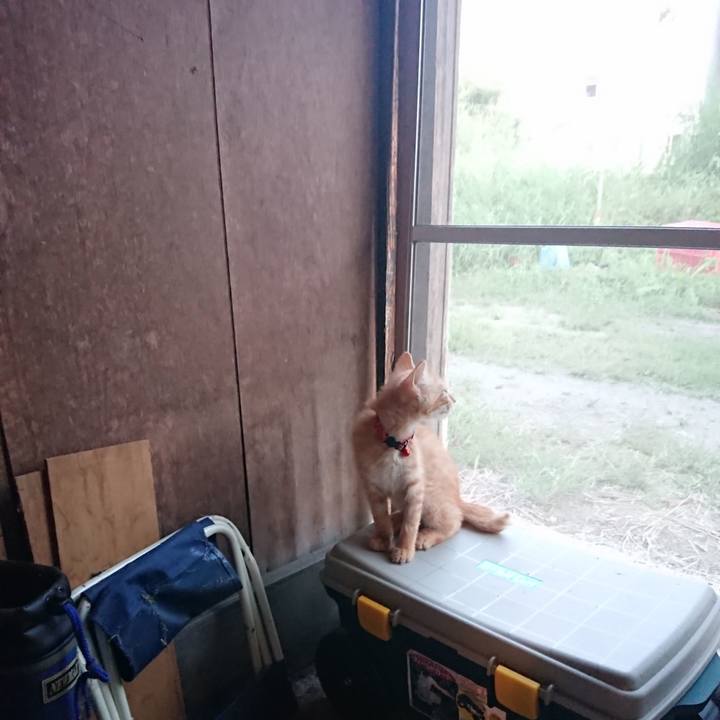 1989583a 7e3b 421b a045 6c334df970a5 1630056650489