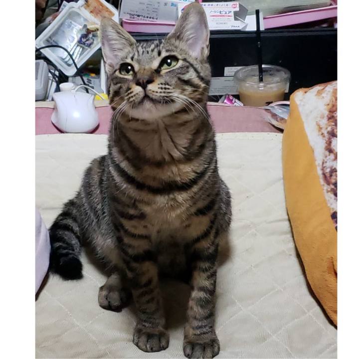 19895a2f 0eea 4be4 b1f5 cb4f98bb85fc 1542973264697