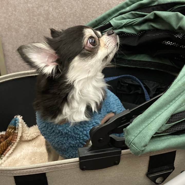 1989788c 8d76 430d 904a 37a2ab4da8be 1672482347986