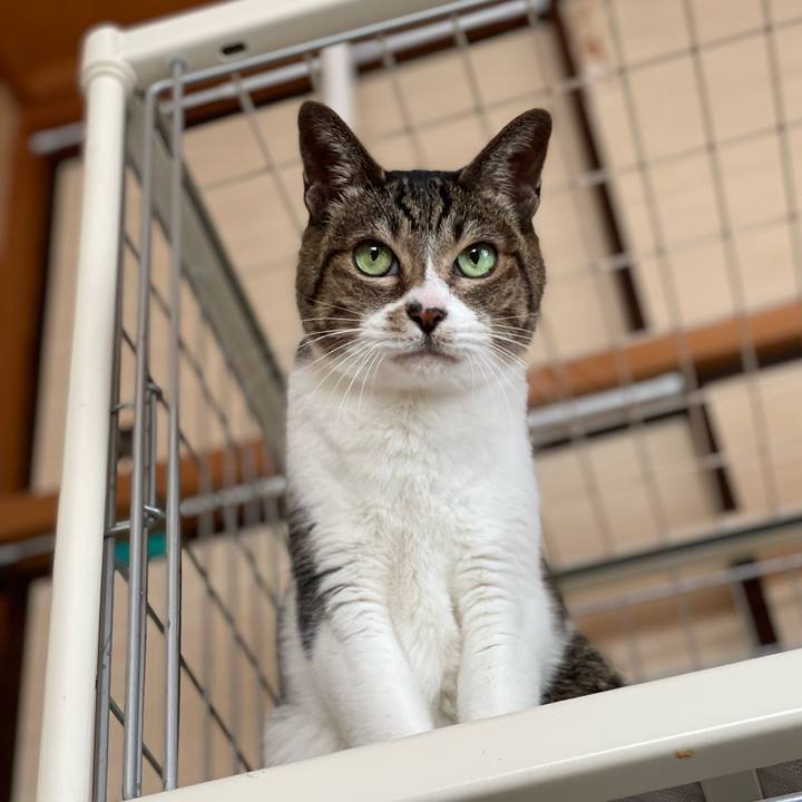 1989920e ffa8 4975 975f e58b5f441c4a 1644459035299