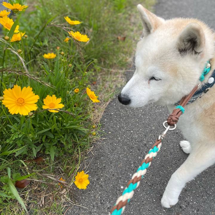 1989d1ef 428b 4603 9578 56ad8631e6d8 1652224258276