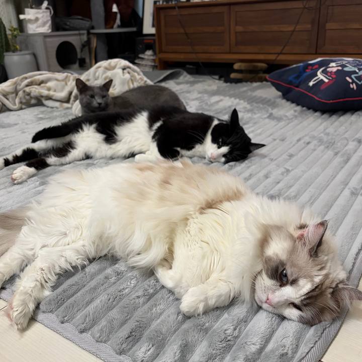 1989ed90 0bd8 4916 a582 ce560d3d081d 1763985560980