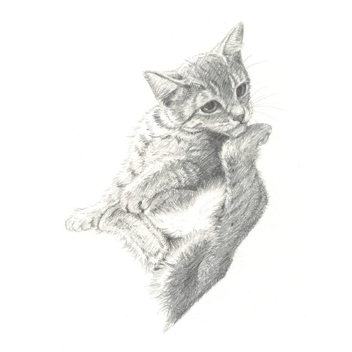 198a5865 bf63 4892 8aef 45746687d176 1541775719929