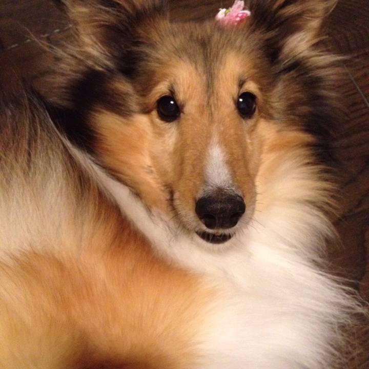 198a5ea3 4cbb 4203 aa36 e9b0aed90f78 1513077724720