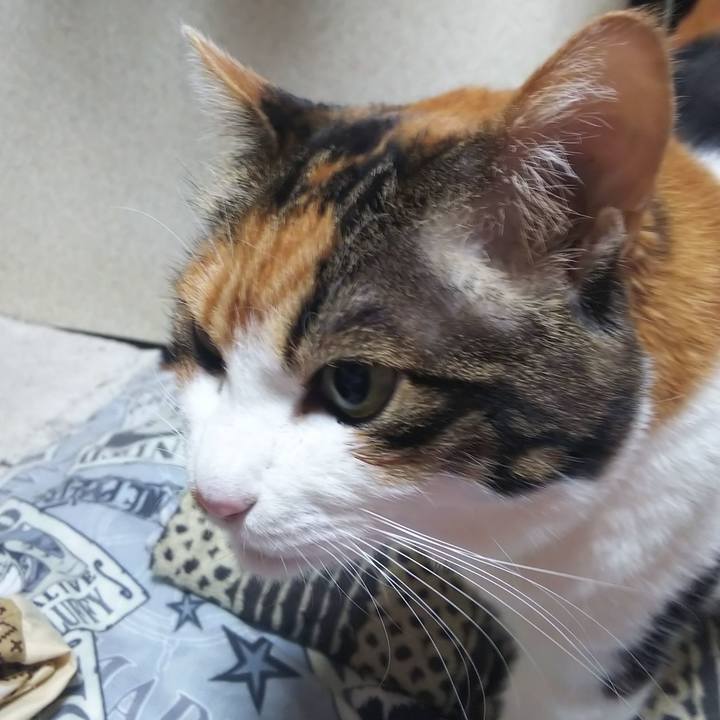 198a656c 43b7 42a0 870f fa9bb23366c1 1578346771295