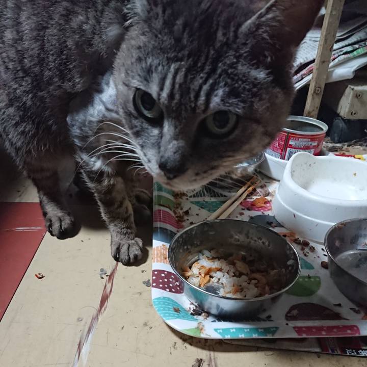 198a8376 63a4 4fde aed8 f55d2dfb43f2 1590750739165