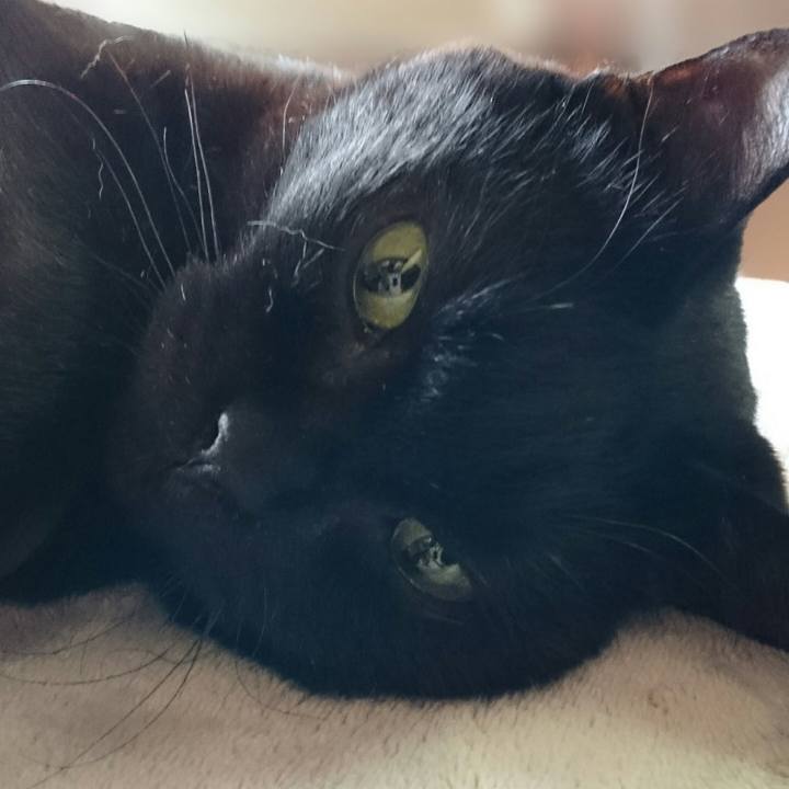 198a8d12 de16 4117 9425 3c3739d5974d 1516249940196