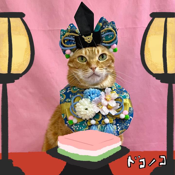 198accad 6de2 455f 93a8 bd78fed93f31 1741078684109