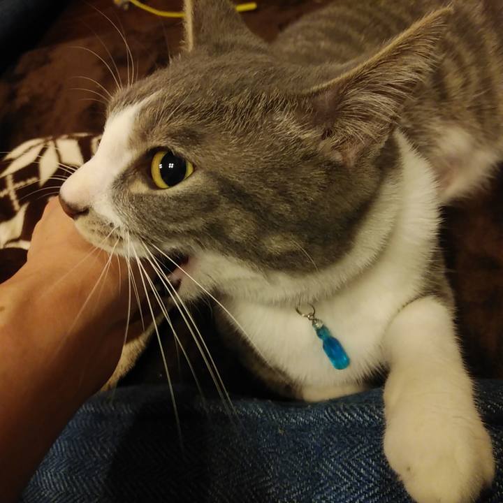 198afdb3 77c4 4c62 b181 9faf1cf01482 1585578386504